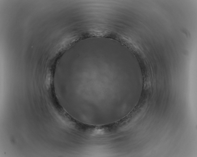 X0000113860647200910081707
