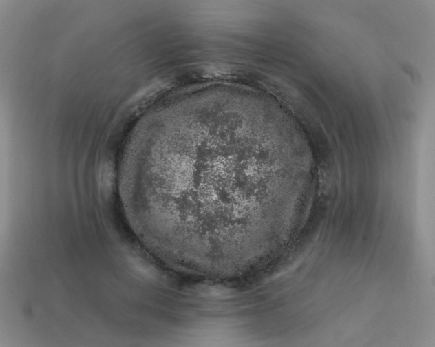 X0000113860648200910081707