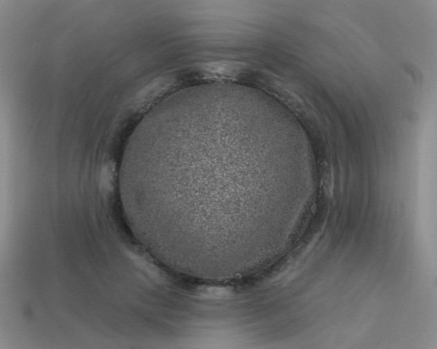X0000113860649200910081707