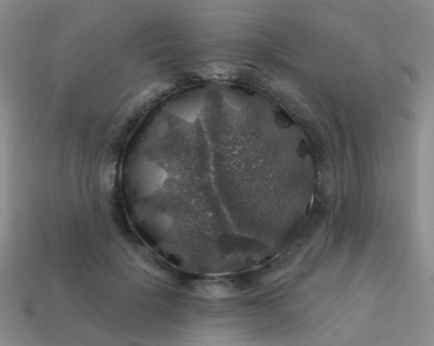 X0000113860652200910081707