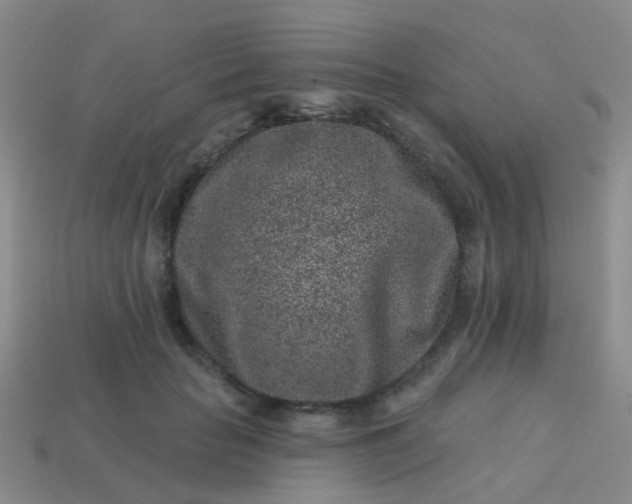 X0000113860653200910081707