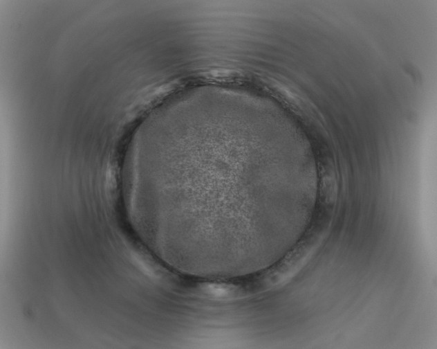 X0000113860654200910081707