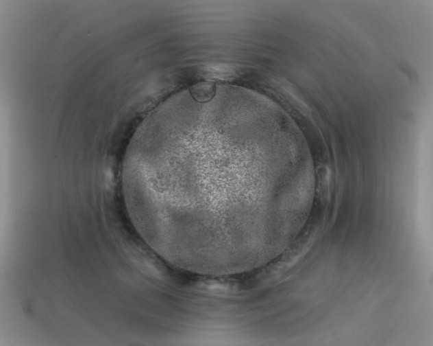 X0000113860655200910081707