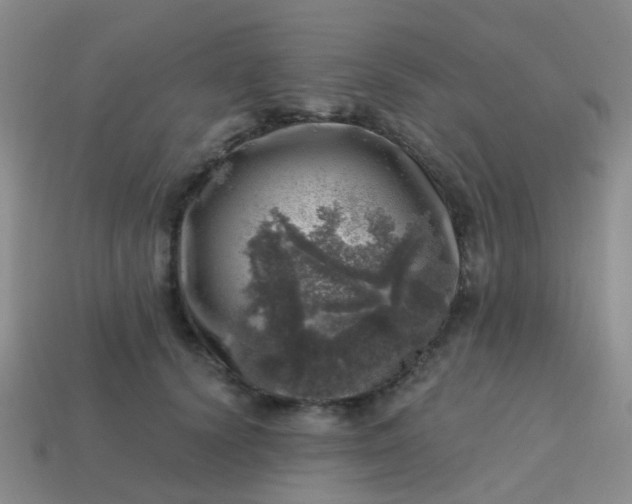 X0000113860656200910081707