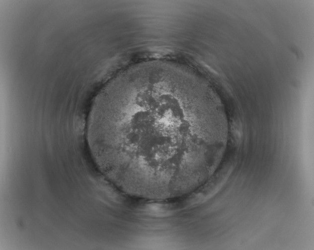 X0000113860657200910081707