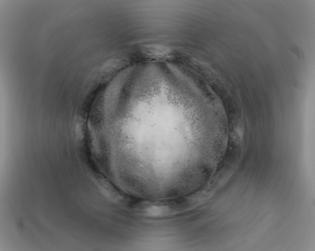X0000113860658200910081707