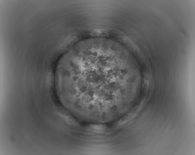 X0000113860659200910081707