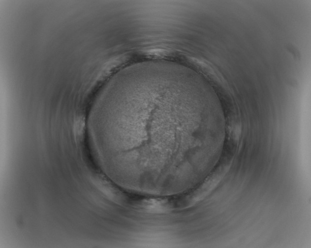 X0000113860660200910081707