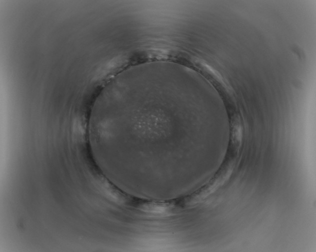 X0000113860661200910081707