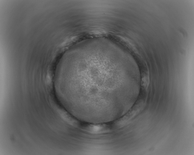 X0000113860662200910081707