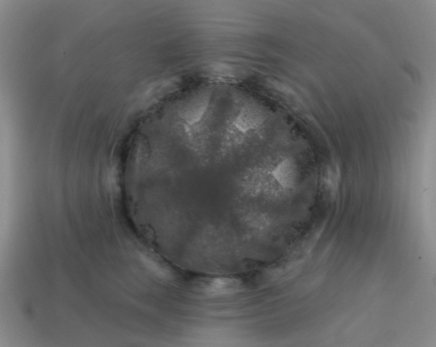 X0000113860663200910081707