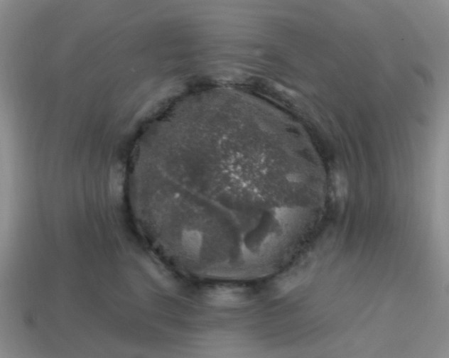 X0000113860664200910081707