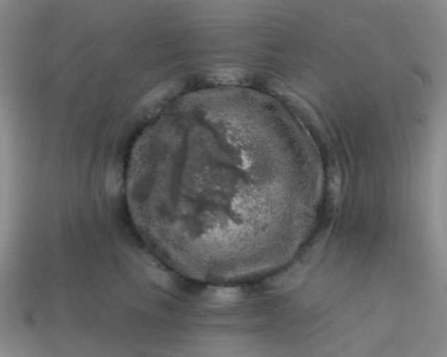X0000113860665200910081707