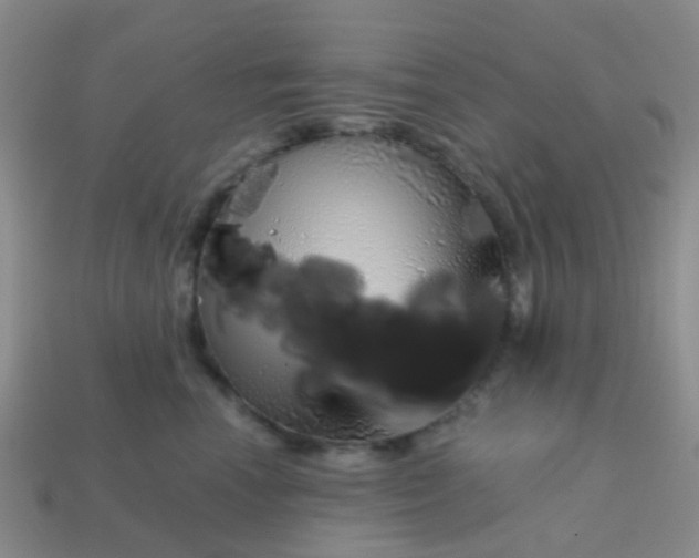 X0000113860666200910081707