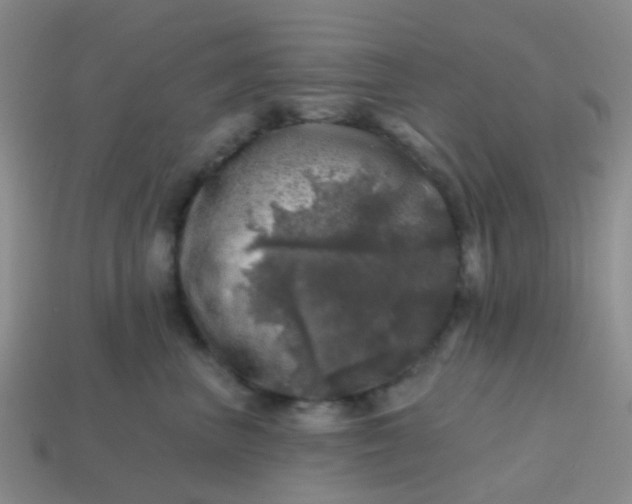 X0000113860667200910081707