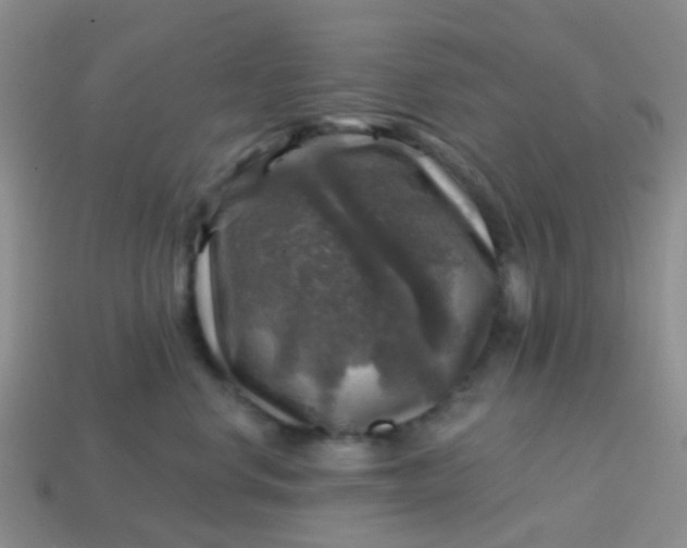 X0000113860668200910081707