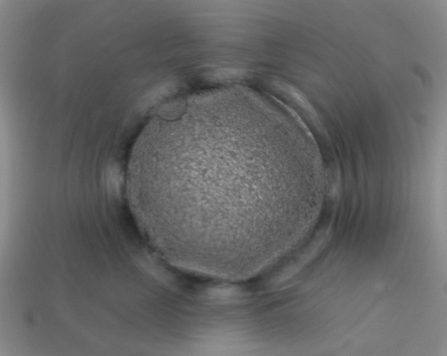 X0000113860669200910081707