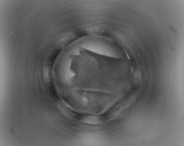 X0000113860671200910081707