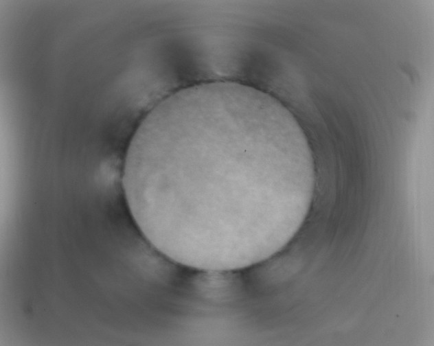 X0000113860672200910081707