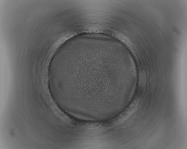 X0000113860673200910081707