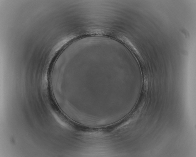 X0000113860674200910081707