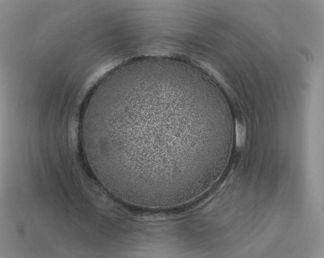 X0000113860675200910081707
