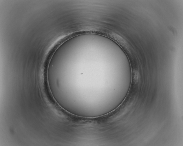 X0000113860676200910081707