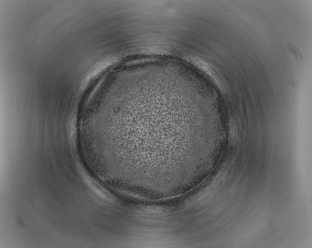 X0000113860677200910081707