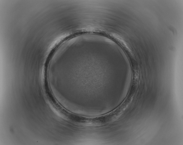 X0000113860678200910081707