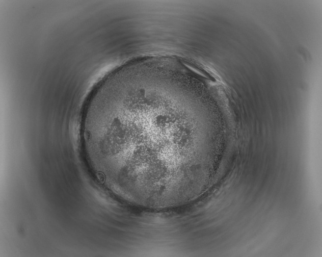 X0000113860679200910081707
