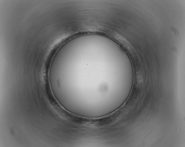 X0000113860680200910081707
