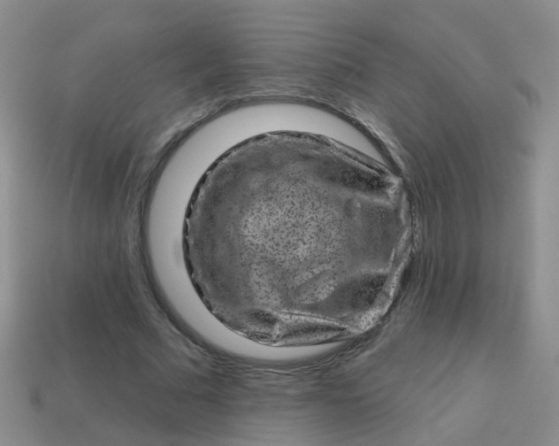 X0000113860681200910081707