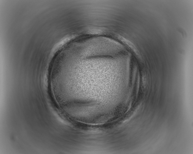 X0000113860682200910081706