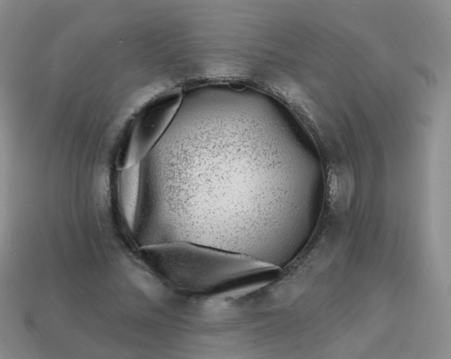 X0000113860684200910081706