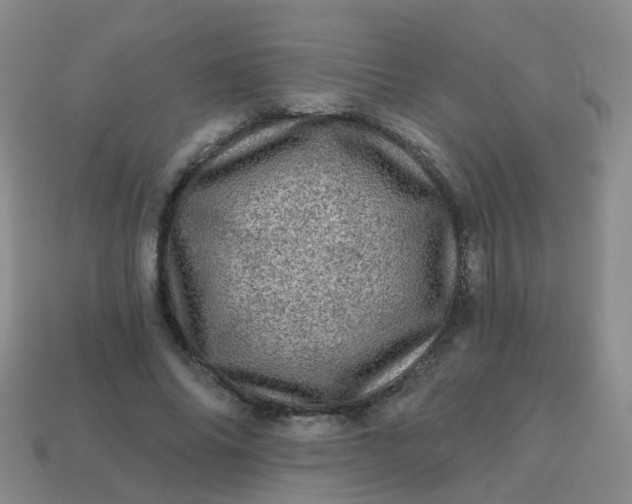 X0000113860686200910081706