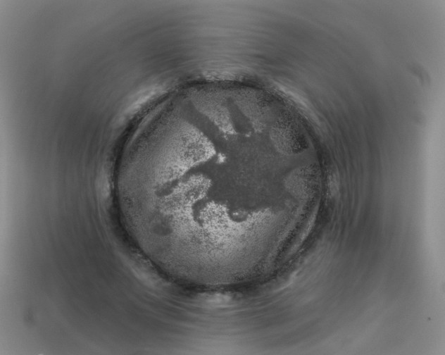 X0000113860687200910081706