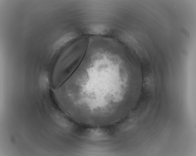 X0000113860688200910081706