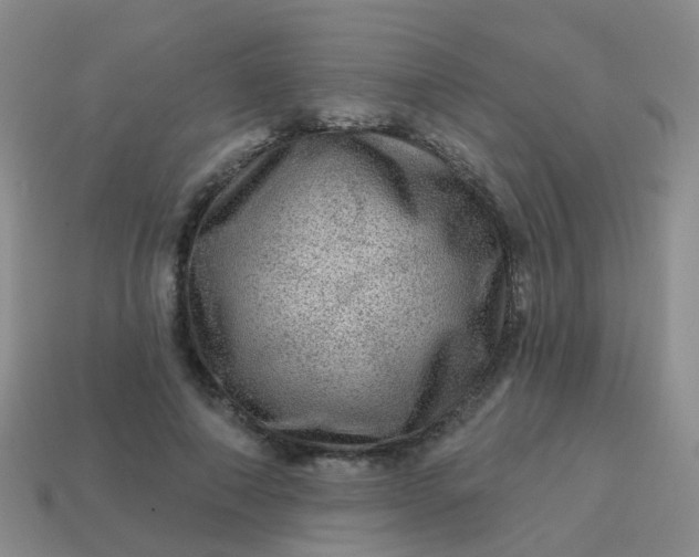X0000113860690200910081706