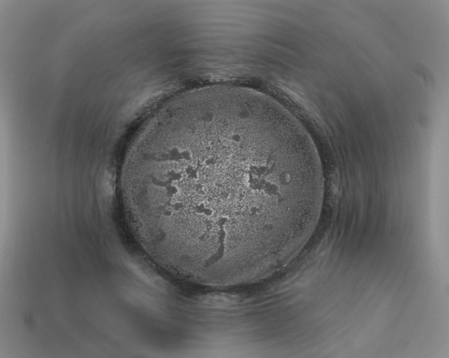 X0000113860691200910081706