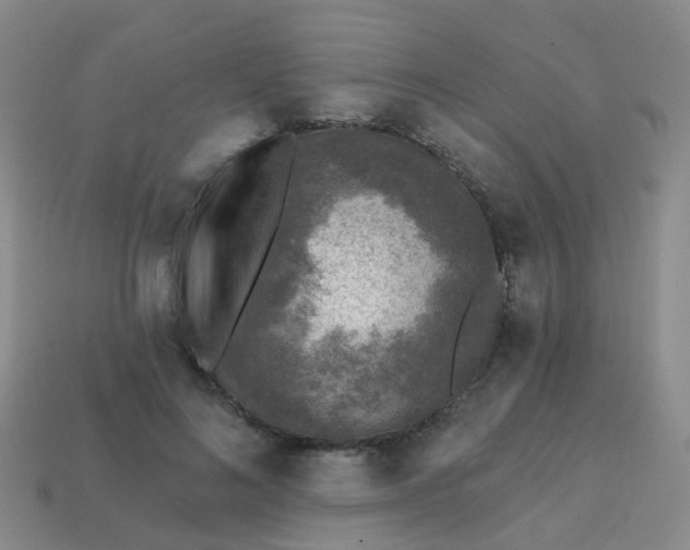 X0000113860692200910081706