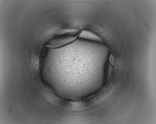 X0000113860693200910081706