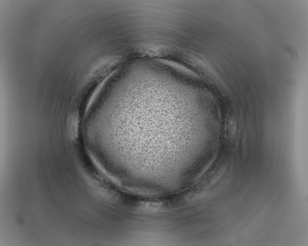 X0000113860694200910081706