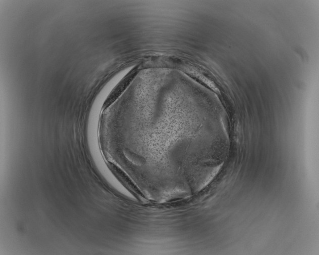 X0000113860697200910081706