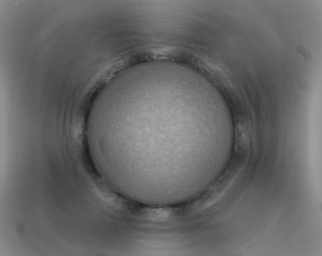 X0000113860698200910081706