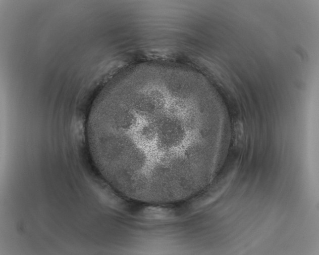 X0000113860699200910081706