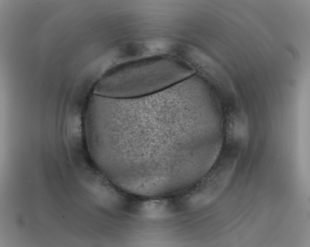 X0000113860700200910081706