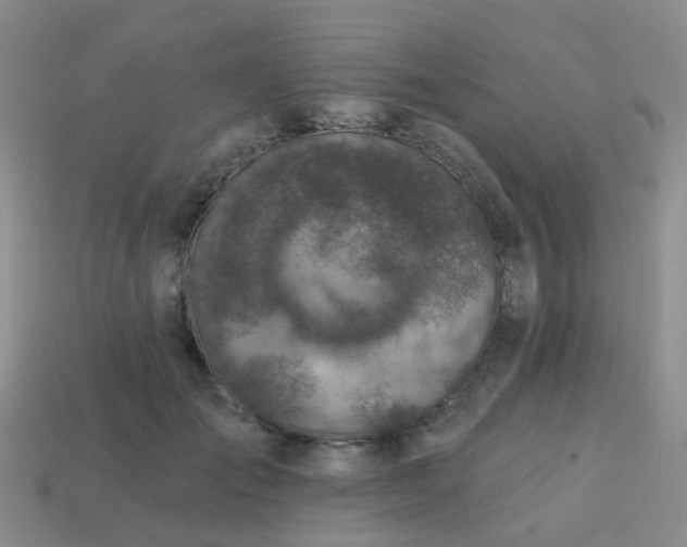 X0000113860701200910081706