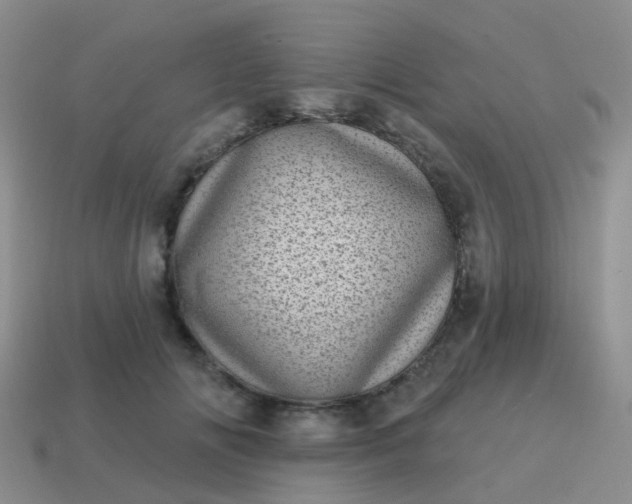 X0000113860702200910081706