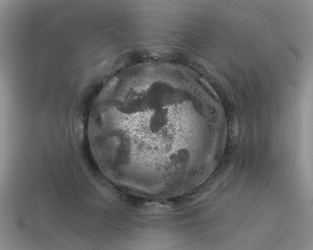 X0000113860703200910081706