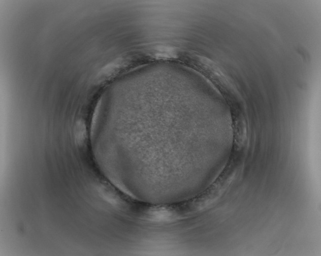 X0000113860704200910081706